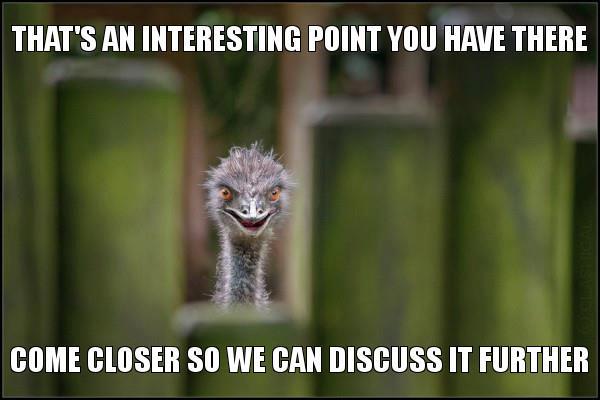 interesting-point-emu-jpg.24676