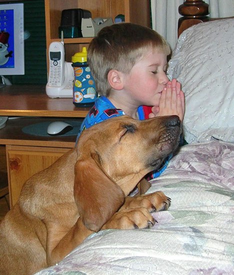 prayer-w-dog.jpg