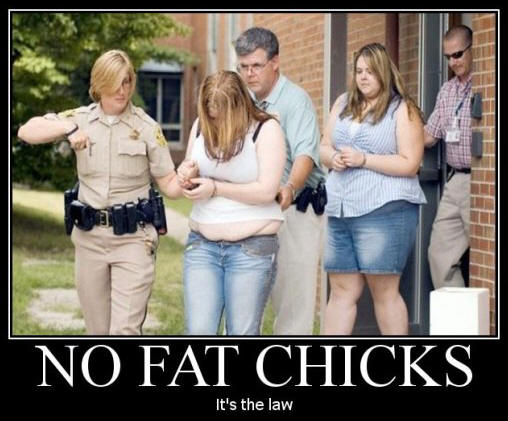 no-fat-chicks1.jpg