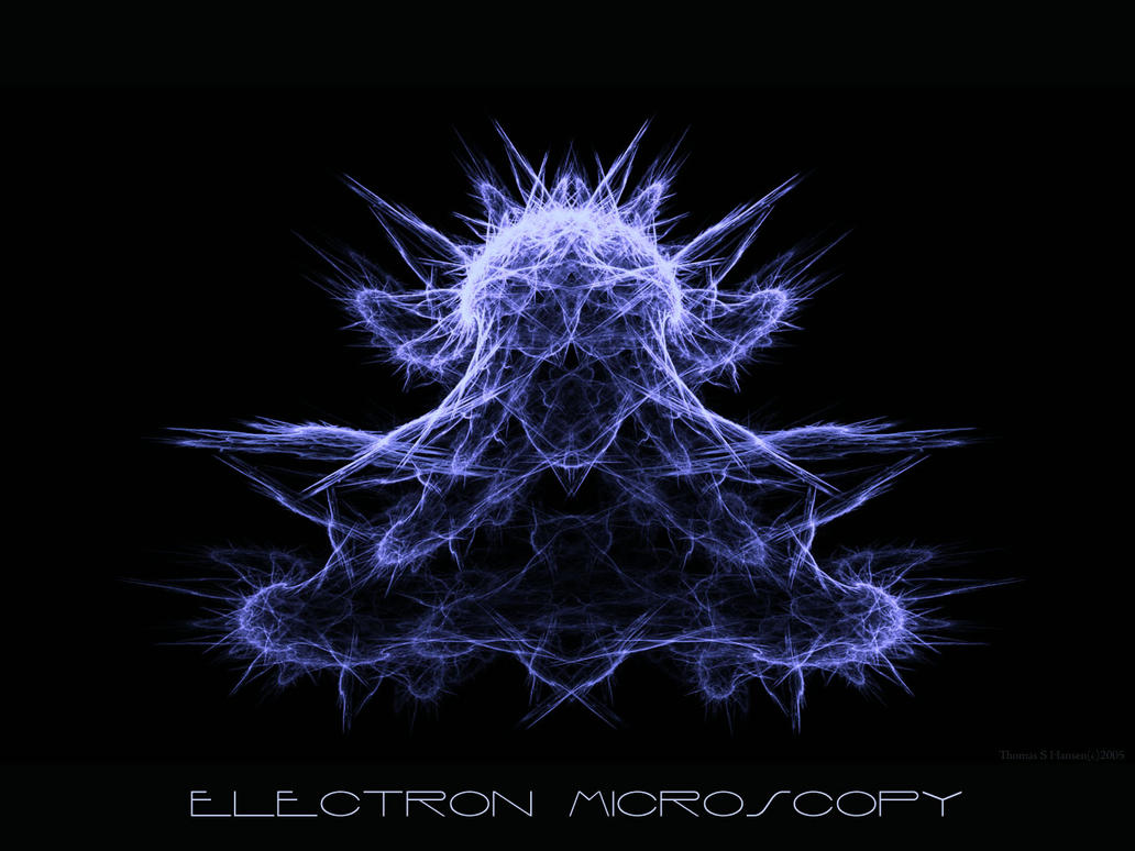 Electron_Microscopy_creature_by_TSHansen.jpg