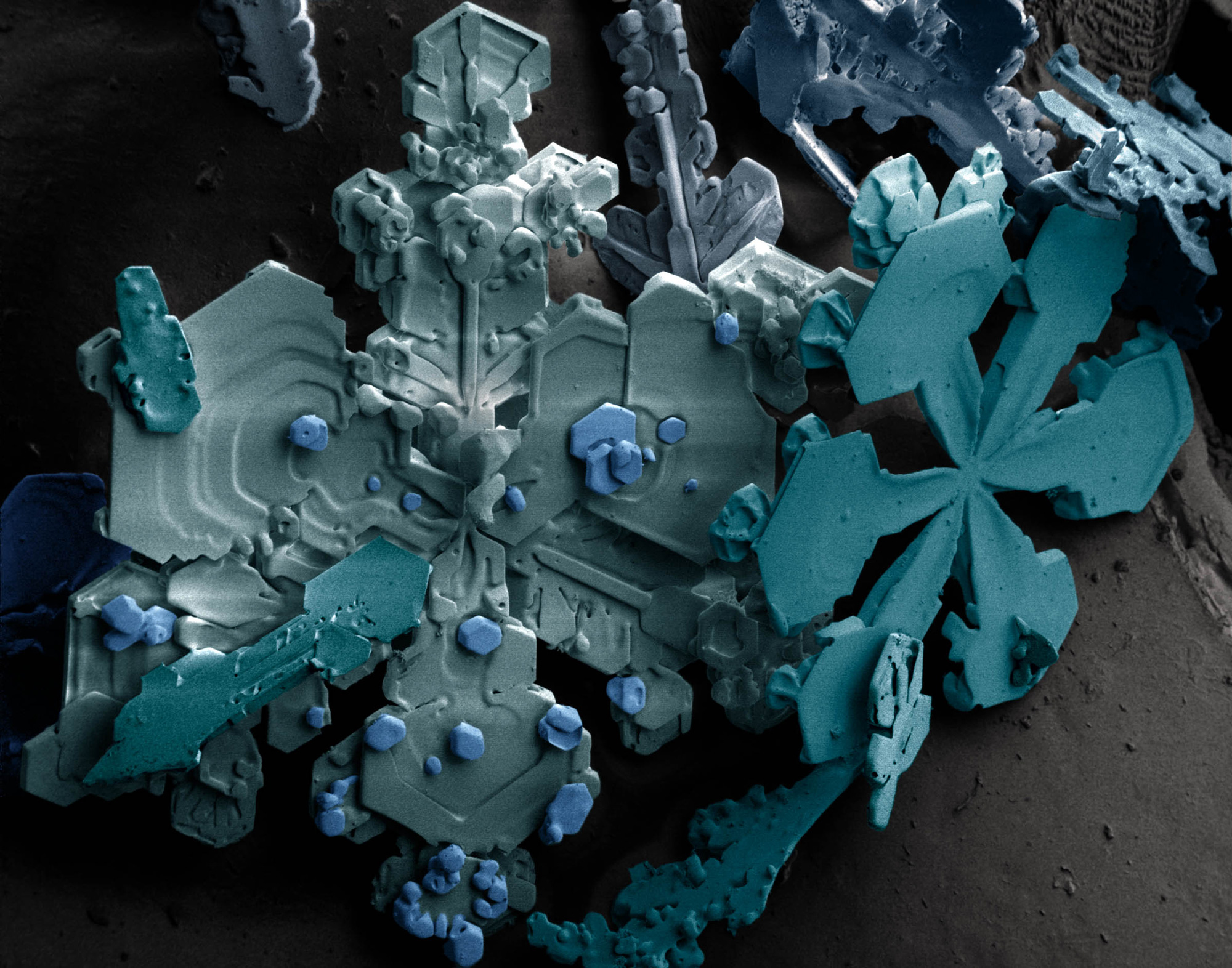 snowcrystals.jpg
