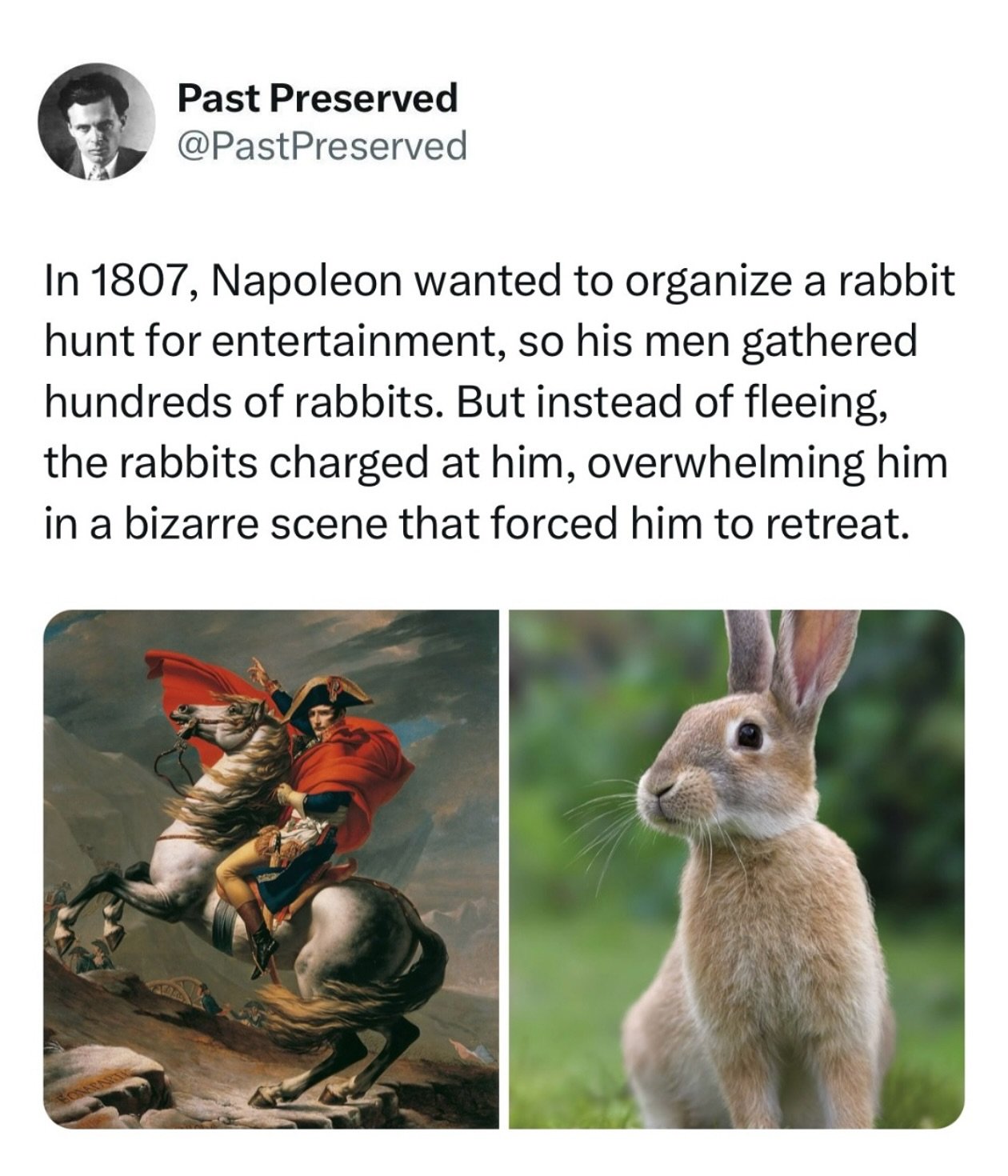 1743433754825.jpeg