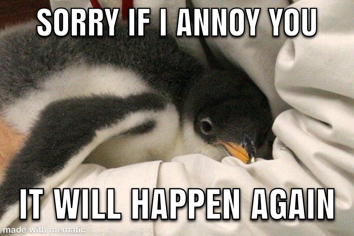 1744020452996.jpeg