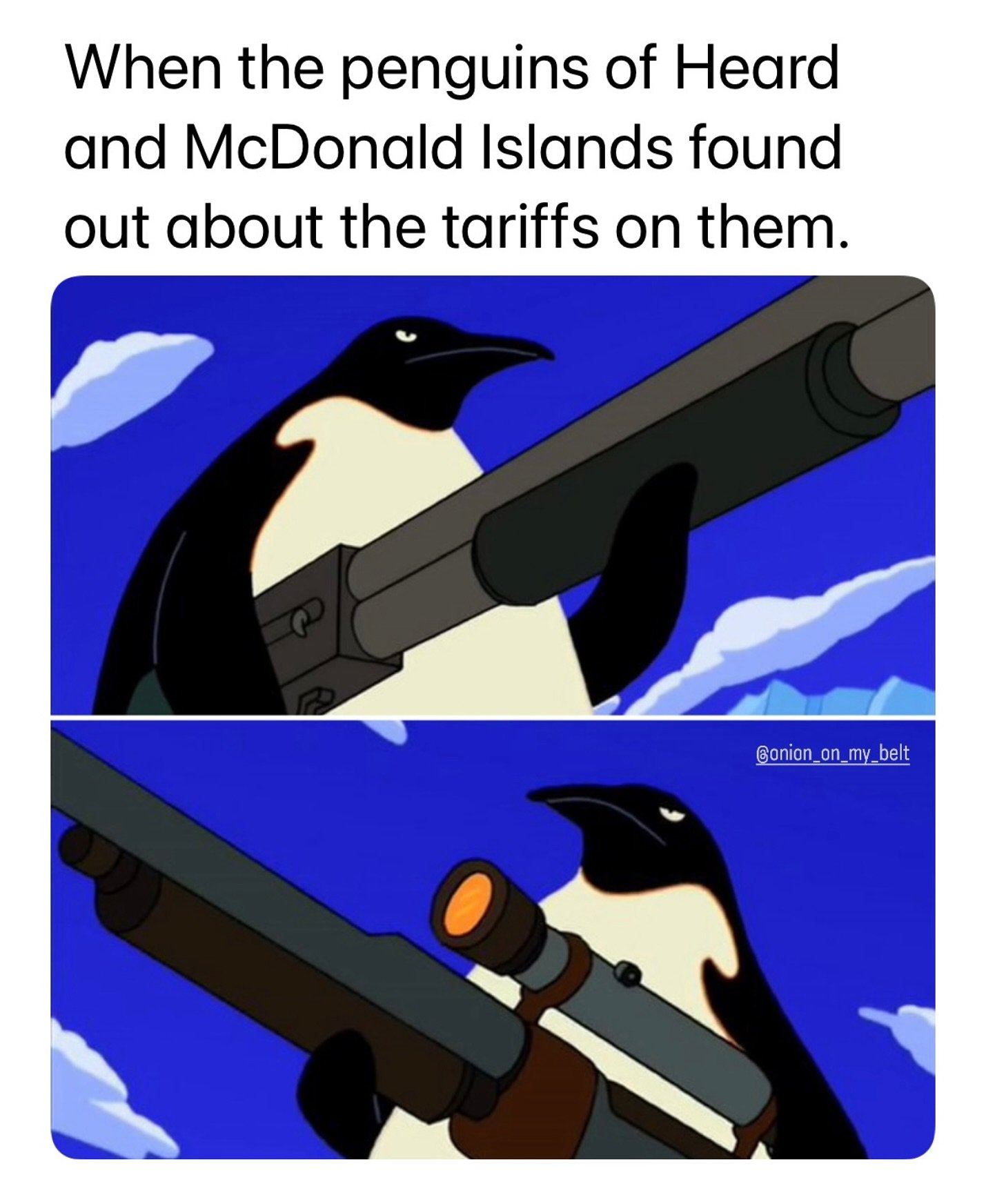 1745486831437.jpeg