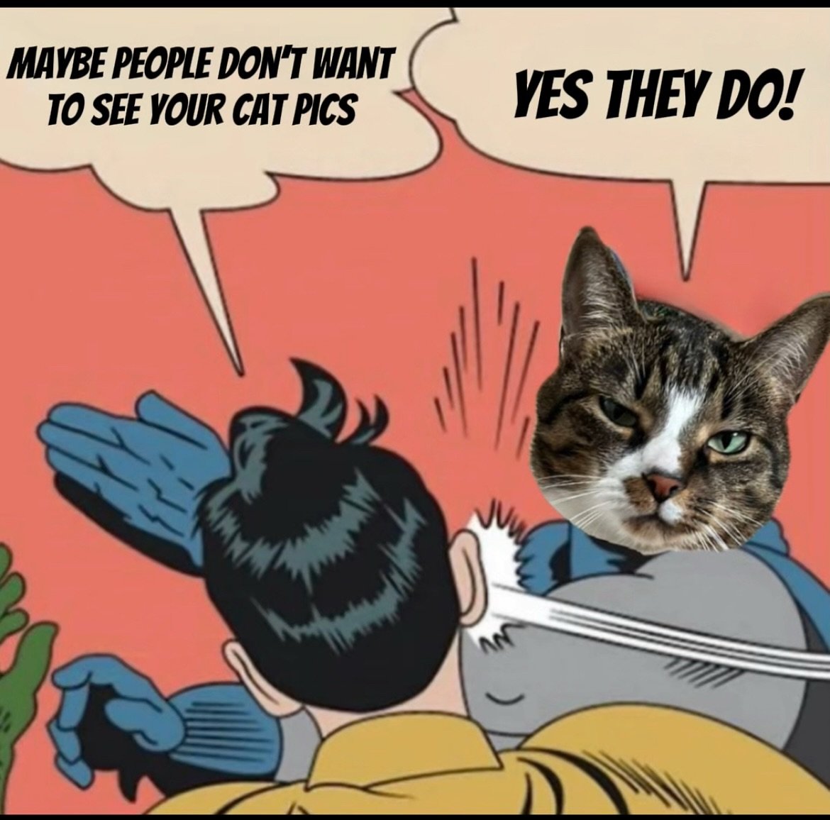 1747166301291.jpeg