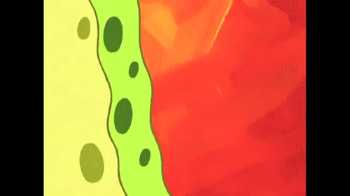 B2B30D48-1191-47E7-8450-A0A3B384D668.gif