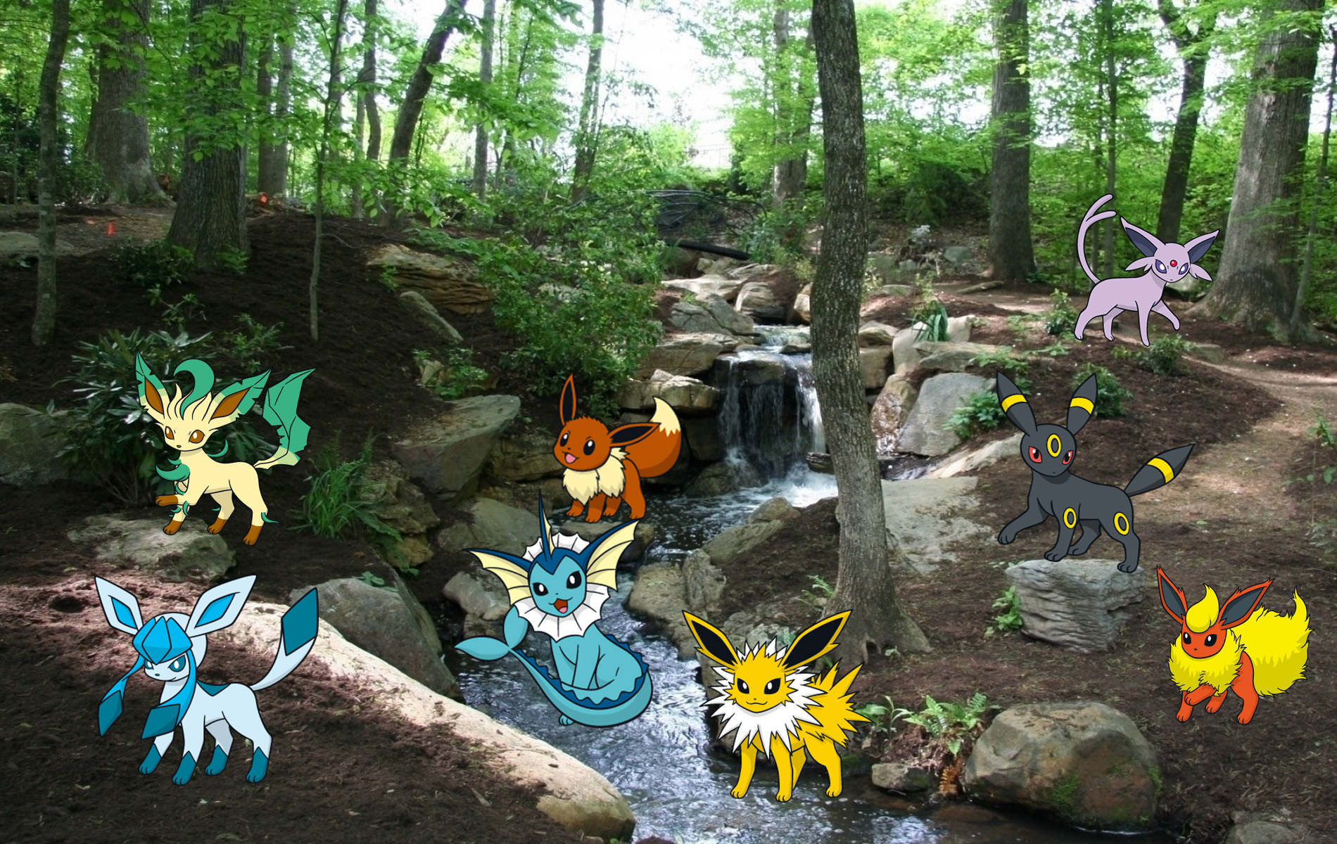 Eeveelution Forest.jpg