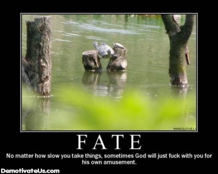 Fate-god-hates-you-turtle.jpg