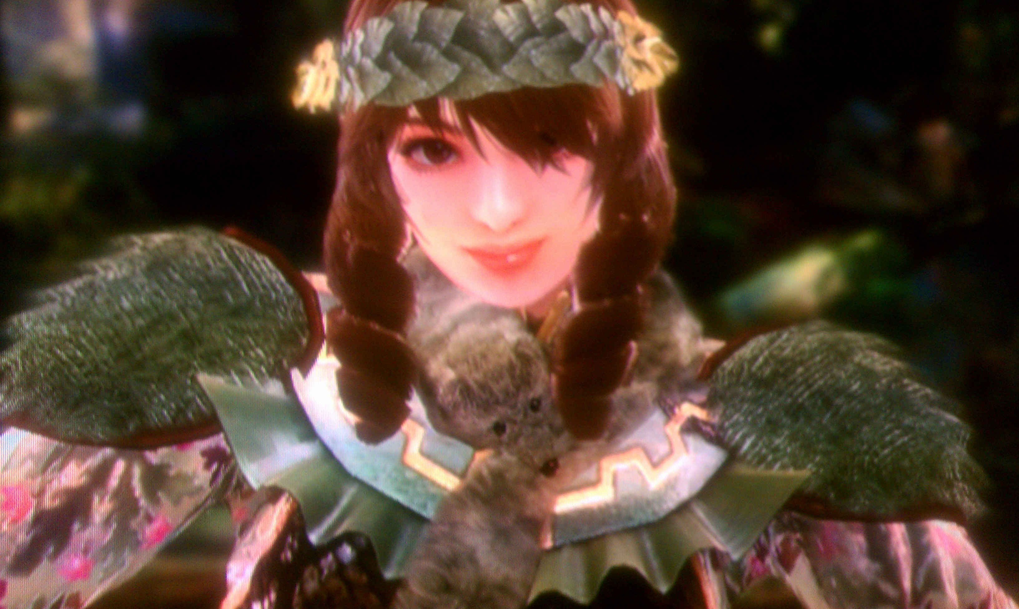 Half Elf Leixia (10).jpg