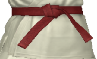 Karate Belt.png