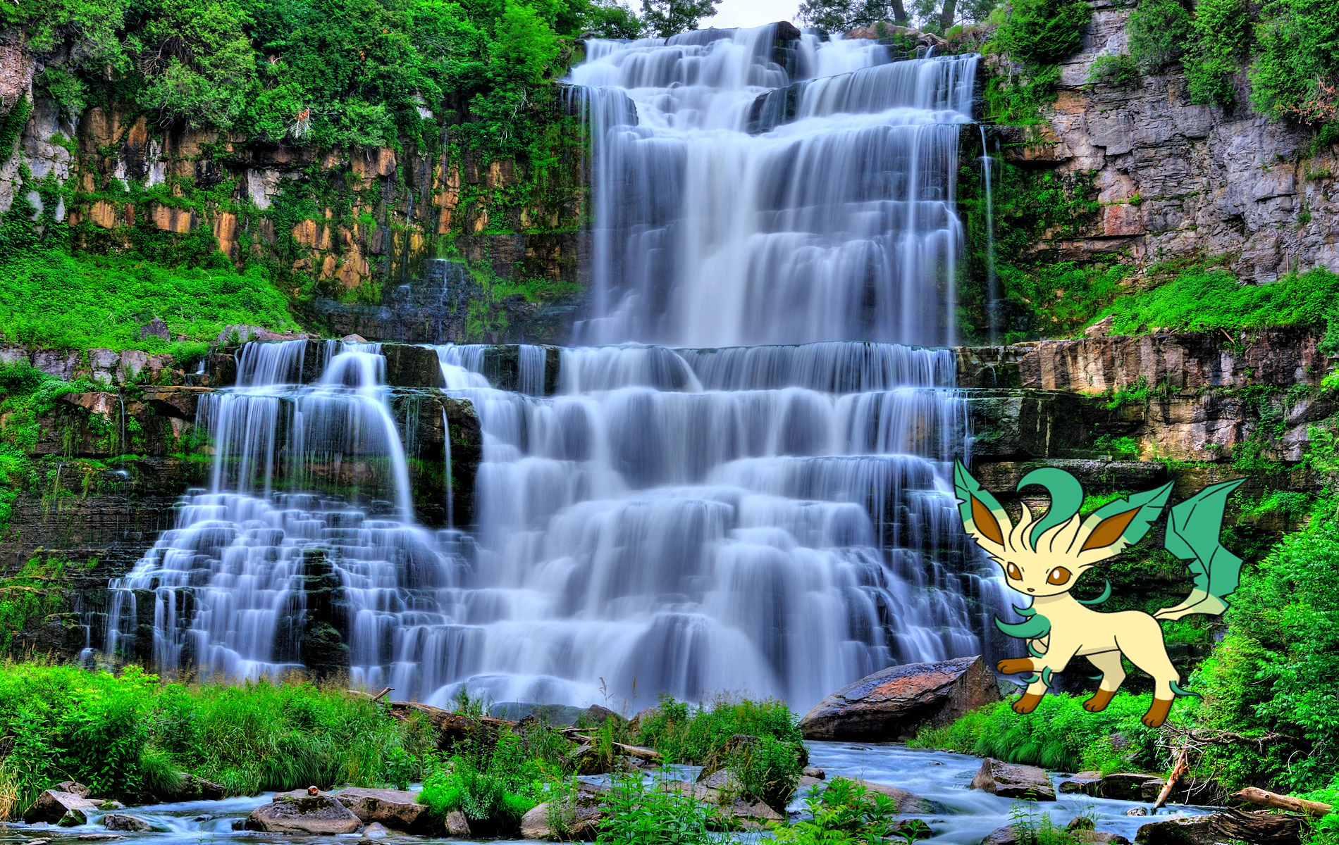 Leafeon.jpg