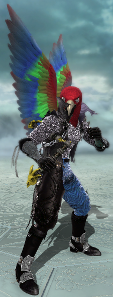 Macaw.png