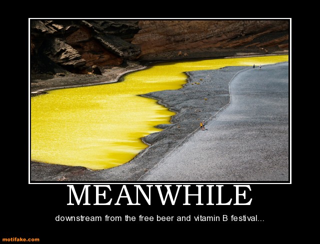meanwhile-beer-pee-demotivational-posters-1362843007.jpg