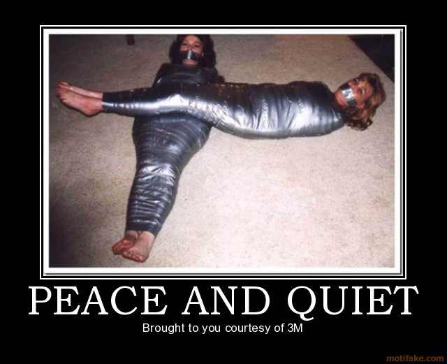 peace-and-quiet-duct-tape-nagging-wives-demotivational-poster-1271943466.jpg
