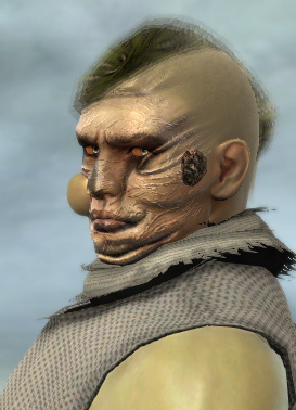 pestface.jpg