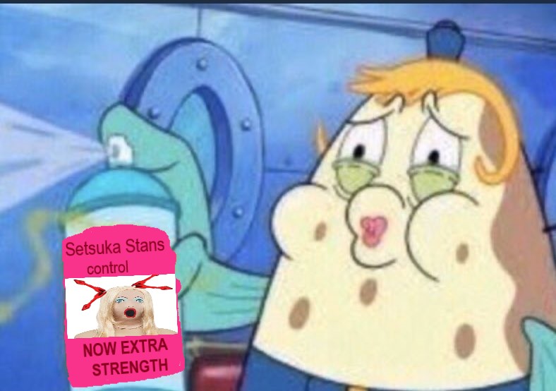 Setsuka stans CONTROL.jpeg