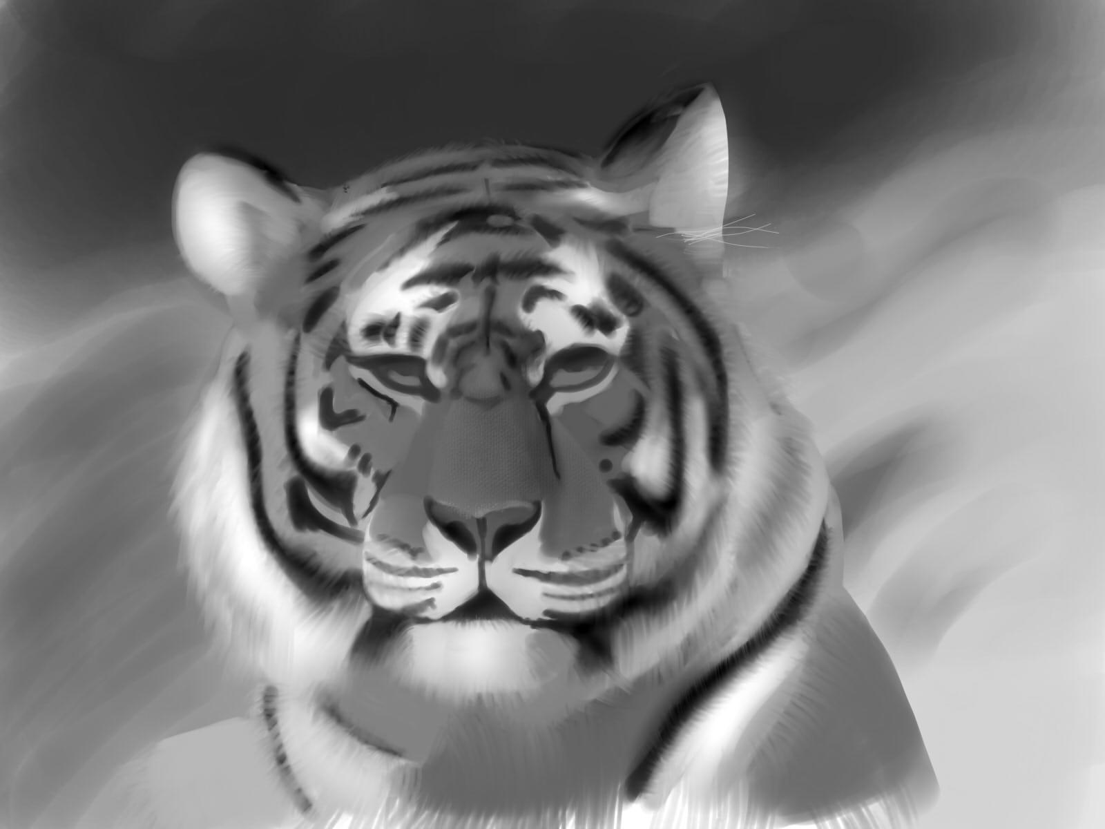 Tiger portrait.jpg