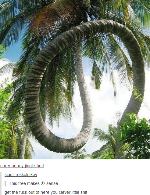 tree.PNG