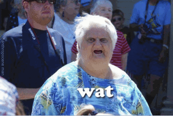 wat loop.gif