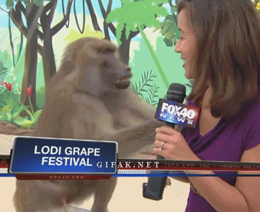 O5gxNf4.gif
