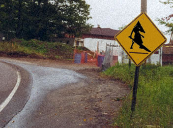 pyramid_head_crossing_by_action_jay.jpg