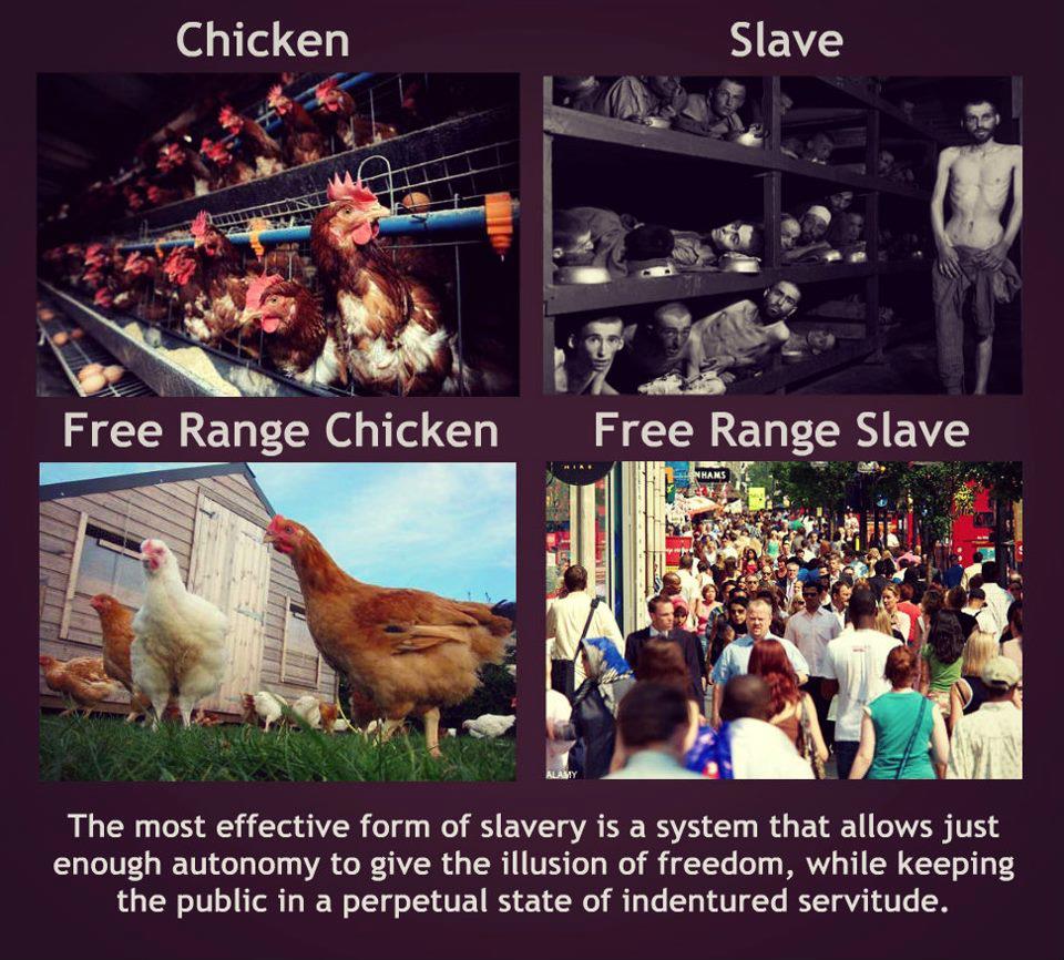 slaves.jpg