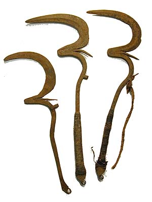 Pakudo1-3.JPG