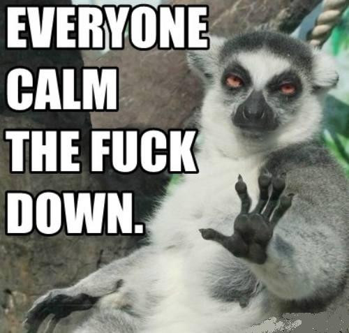 everyone+calm+the+fuck+down+meme+chill+lemur+lol+wtf+4chan.jpeg