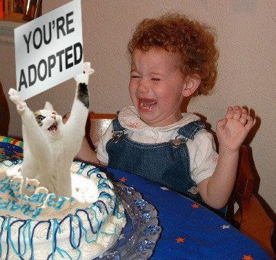birthday+cake+adopted.jpg