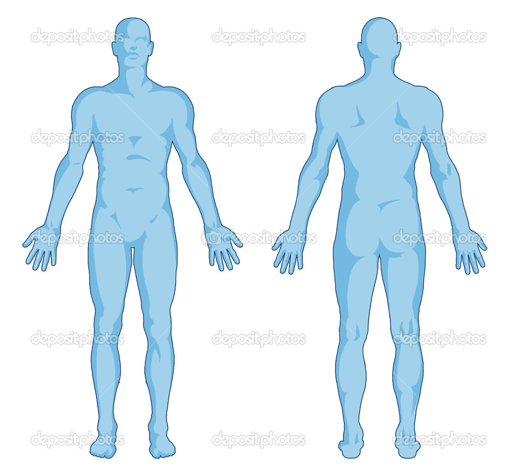 human-body-depositphotos_14152006-Male-body-shapes---human-body-outline---posterior-and-anterior-view---full-body.jpg