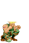 Guile_crouch_fierce.gif